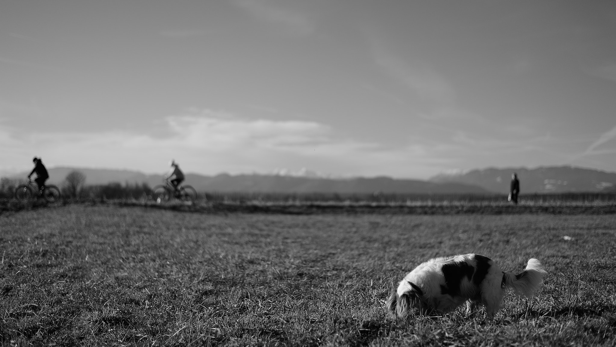 Nikon Df + Nikon AF-S Nikkor 50mm F1.8G sample photo. Hunting photography