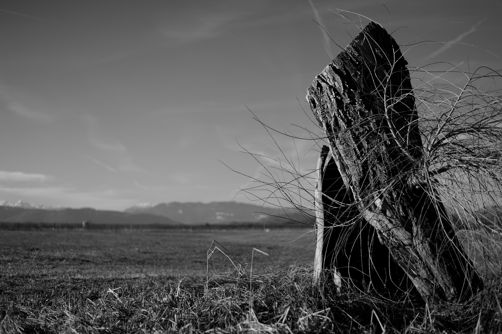Nikon Df + Nikon AF-S Nikkor 50mm F1.8G sample photo. One#lonely photography