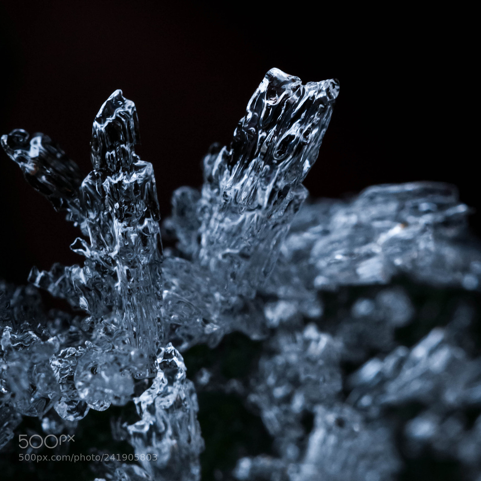 Canon EOS 650D (EOS Rebel T4i / EOS Kiss X6i) sample photo. Creeping frost photography