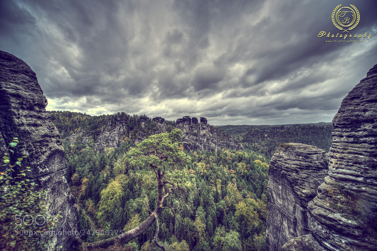 Nikon D800 sample photo. Die felsen der bastei photography