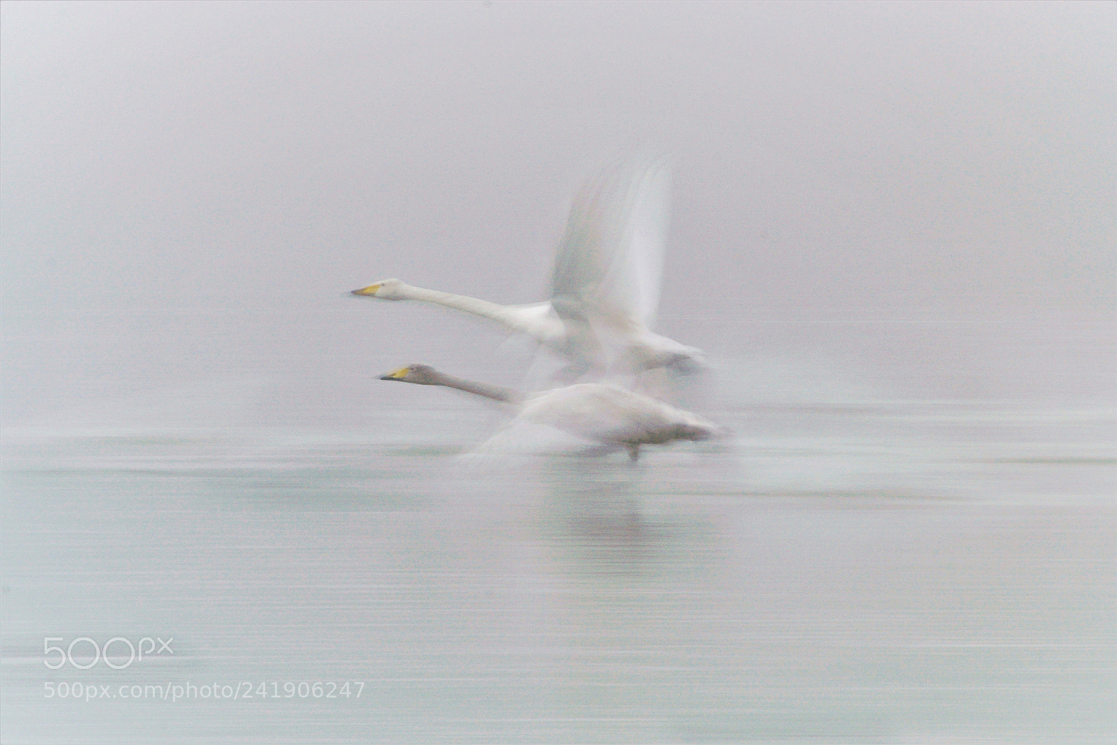 Sony ILCA-77M2 sample photo. (starting in the fog) photography
