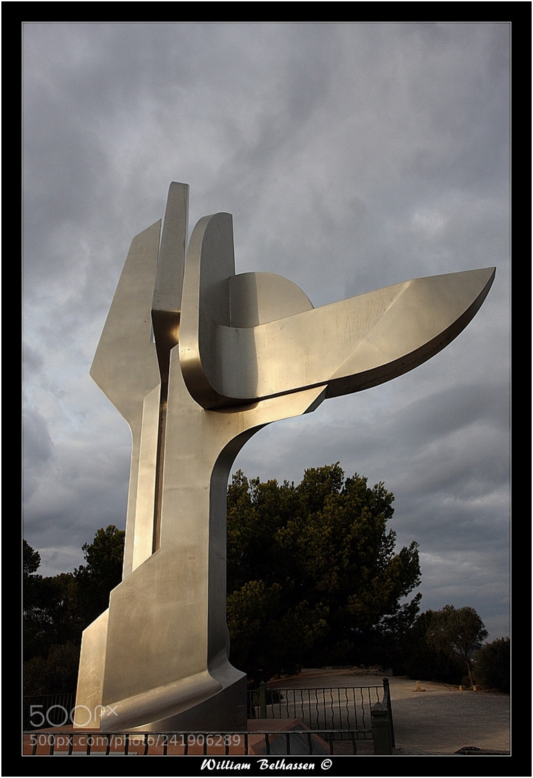 Canon EOS 40D sample photo. "toulon" ....lieux photography