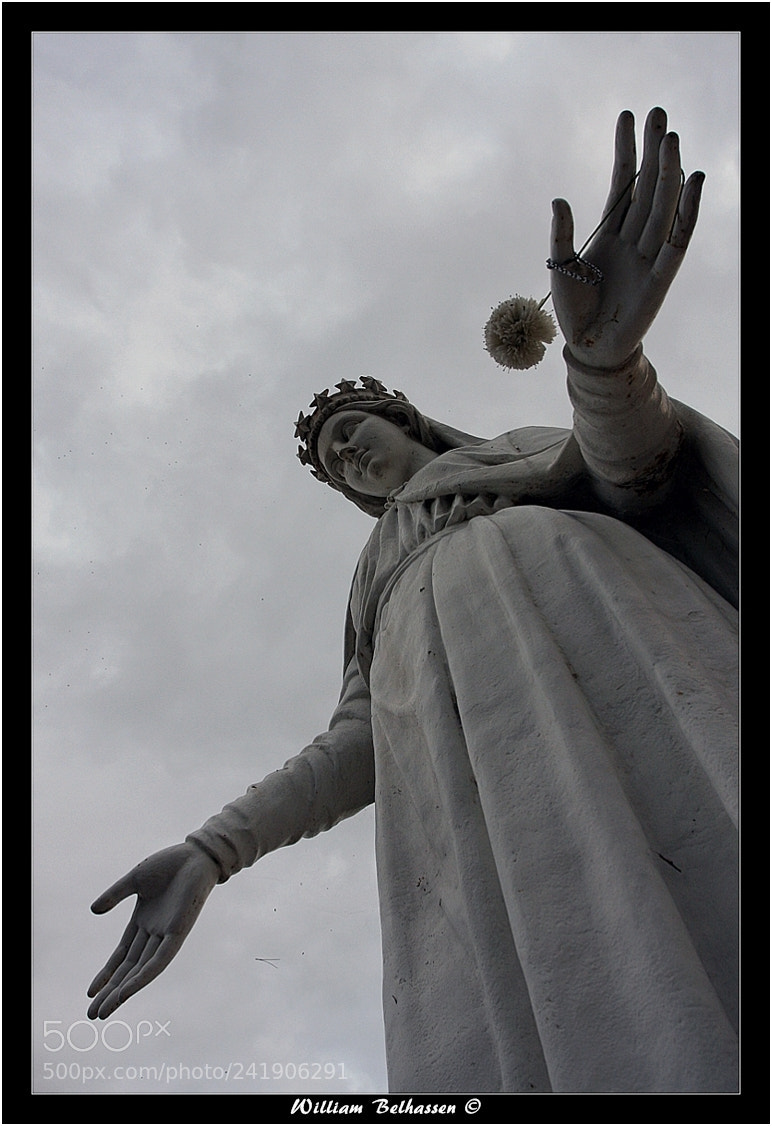 Canon EOS 40D sample photo. "toulon" ....lieux photography