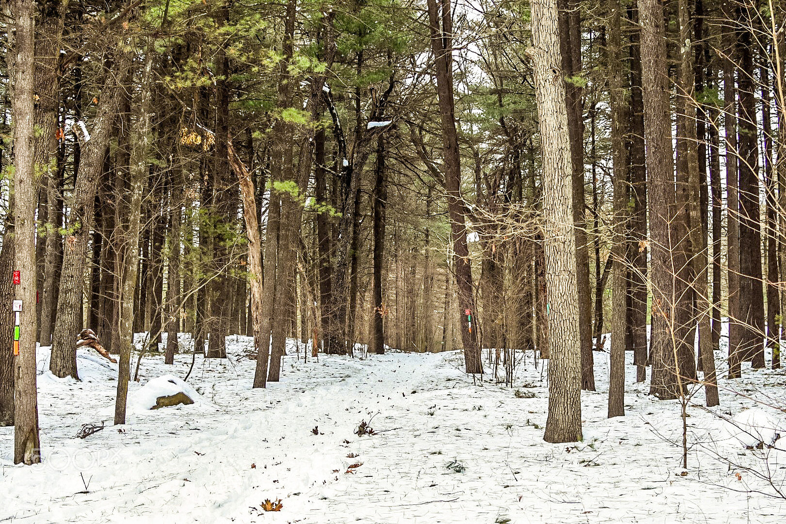 Nikon D7200 sample photo. Only person in the photography
