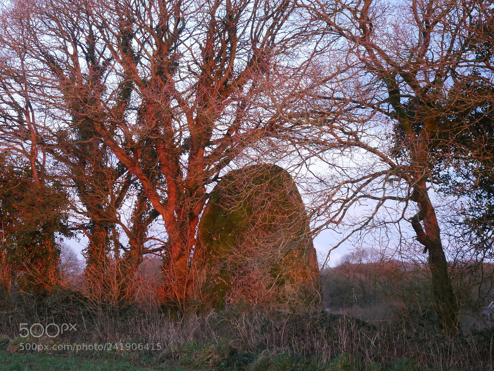 Panasonic Lumix DMC-GX85 (Lumix DMC-GX80 / Lumix DMC-GX7 Mark II) sample photo. Menhir ... evening light photography