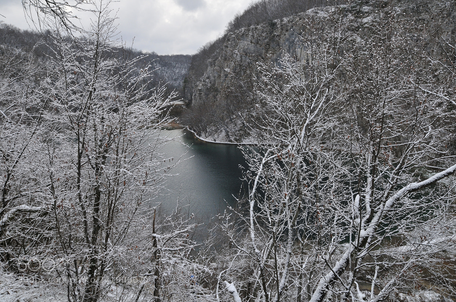 Nikon D300 sample photo. Untitled photography