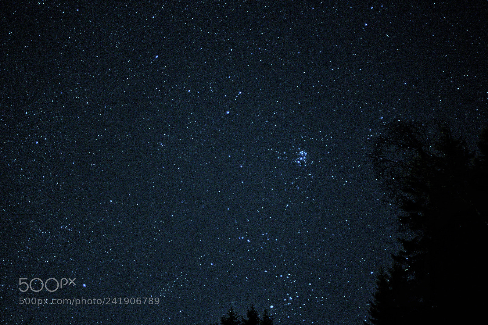 Canon EOS 1200D (EOS Rebel T5 / EOS Kiss X70 / EOS Hi) sample photo. The stars above us photography