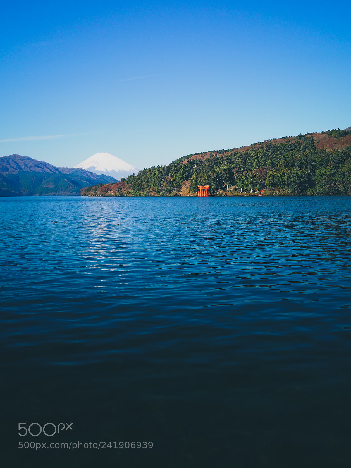 Olympus OM-D E-M10 II sample photo. Hakone, japan photography