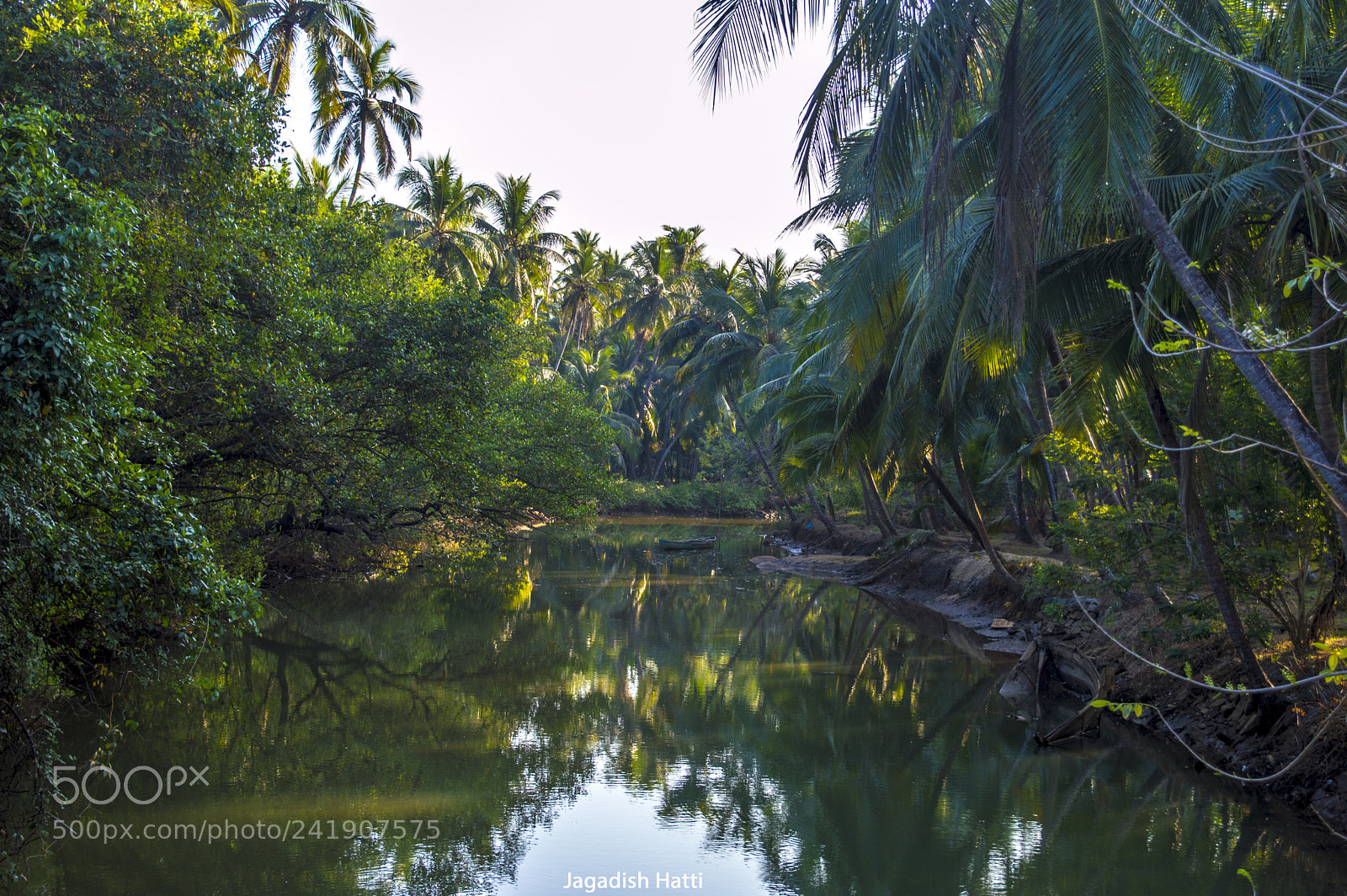 Nikon D3200 sample photo. Backwaters photography