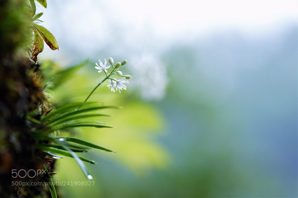 Nikon D90 sample photo. You came to me photography