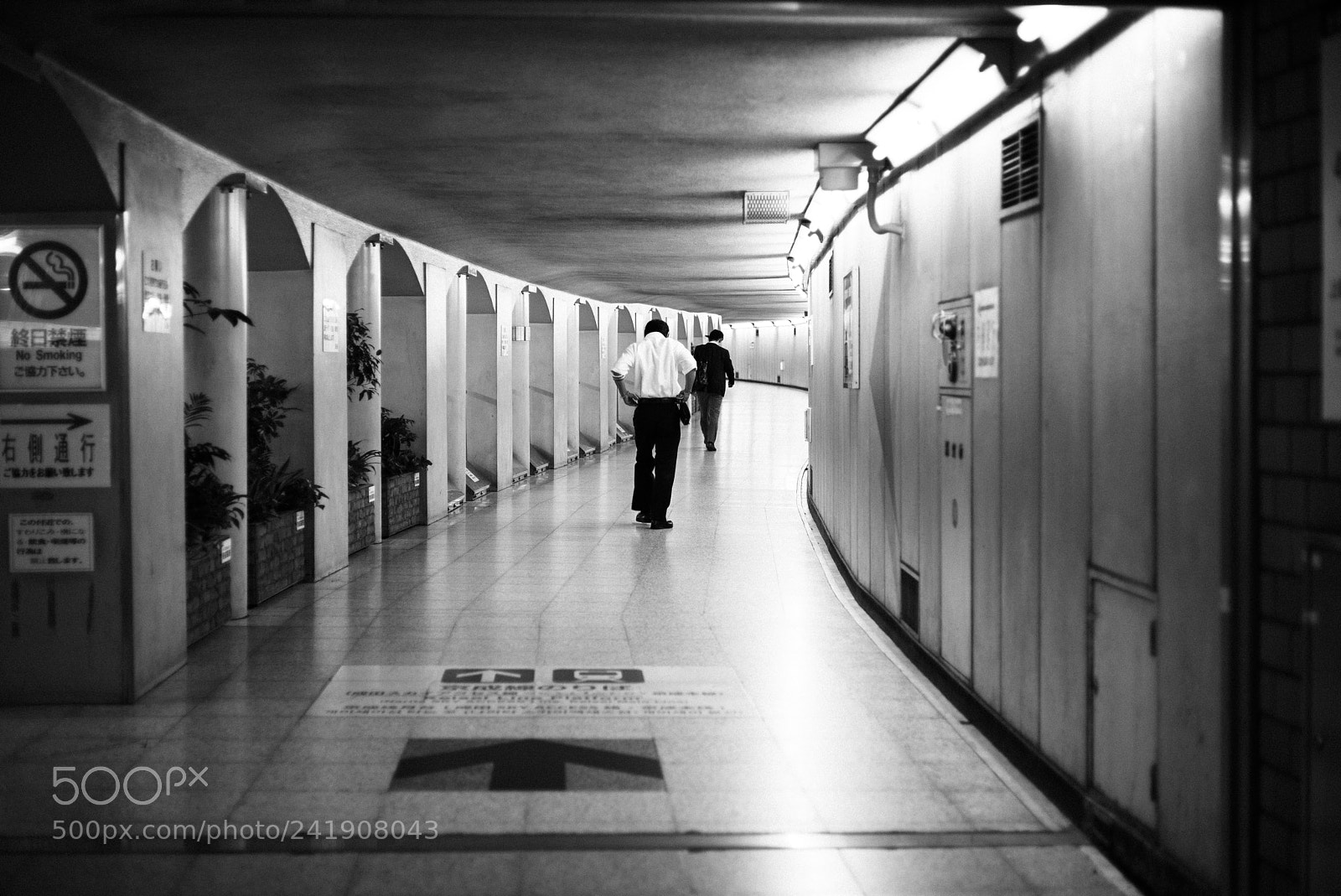 Leica M (Typ 240) sample photo. Untitled photography