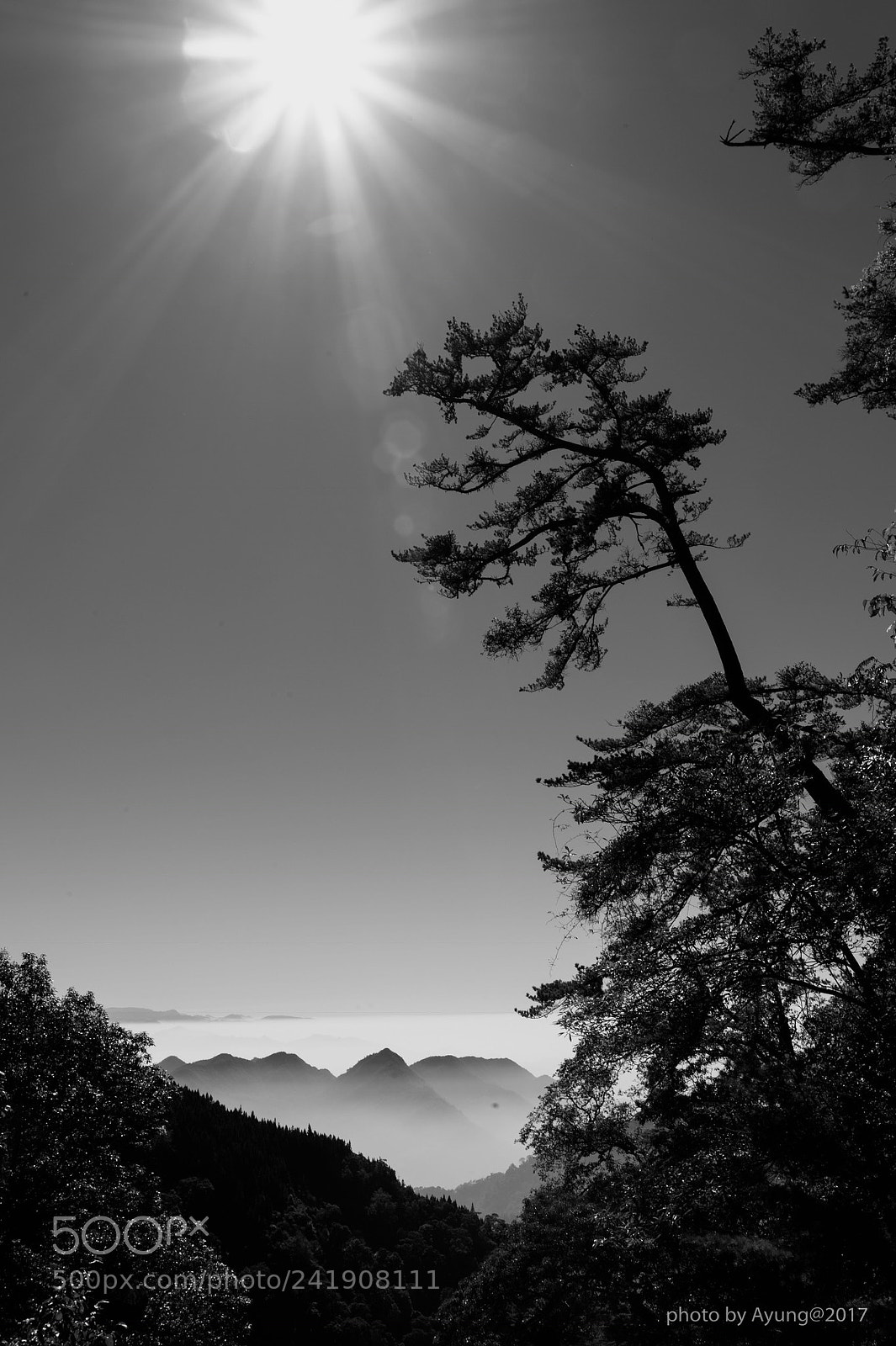 Nikon Df sample photo. Cloud sea photography