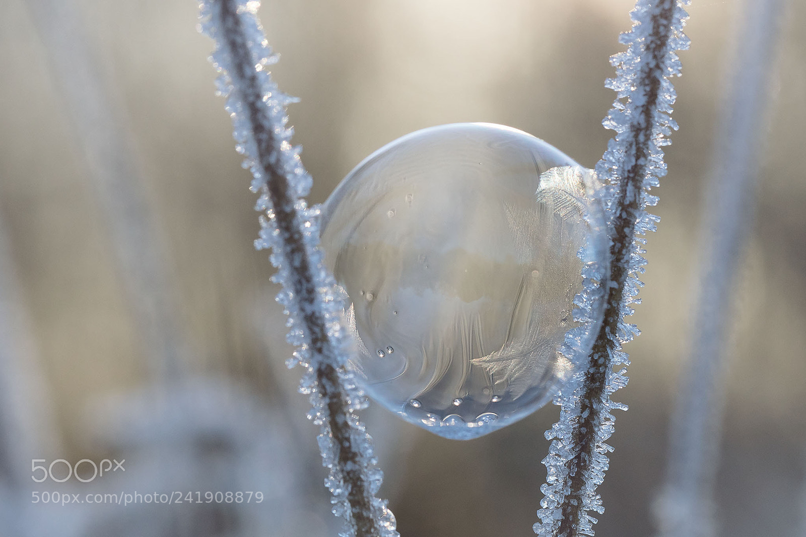 Canon EOS 5DS sample photo. Bubble photography
