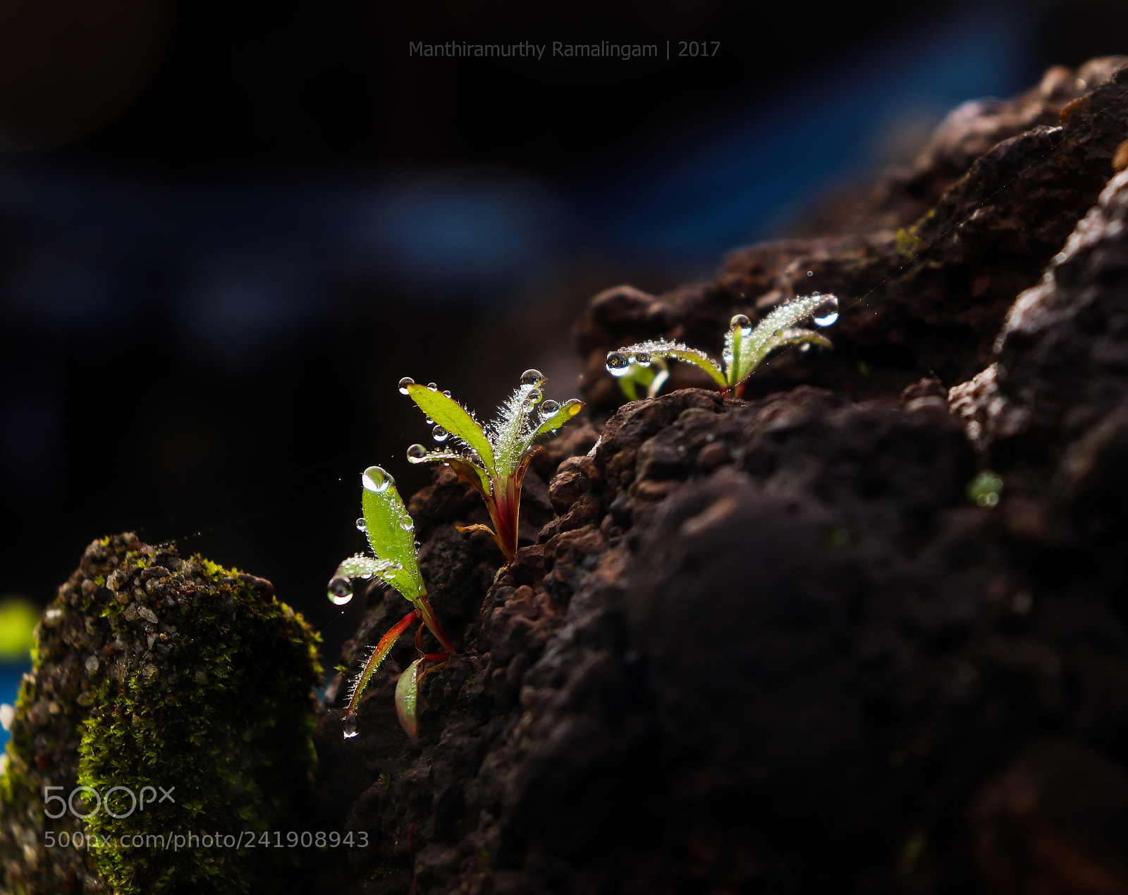 Canon EOS 77D (EOS 9000D / EOS 770D) sample photo. Rock liquid photography