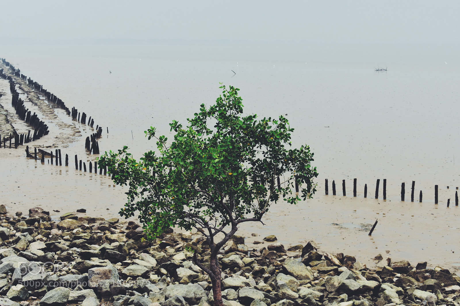Nikon D3400 sample photo. Untitled photography