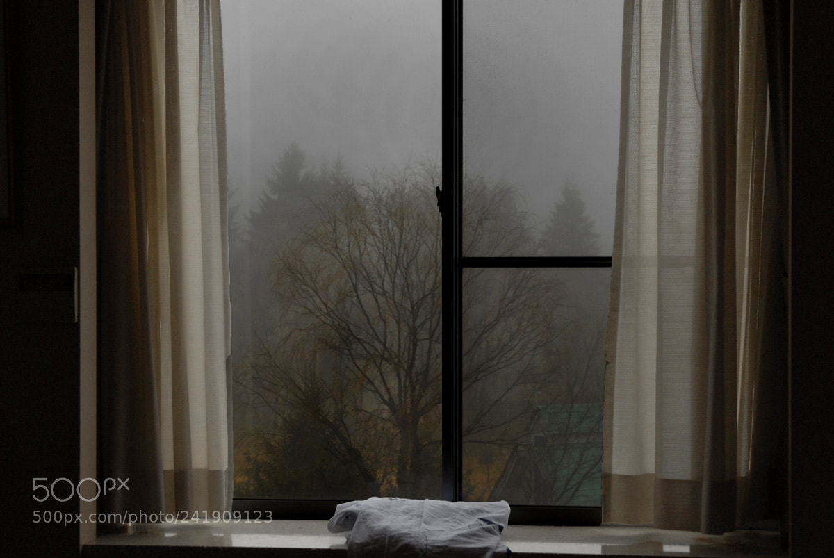 Nikon D200 sample photo. Light lesson 181 photography