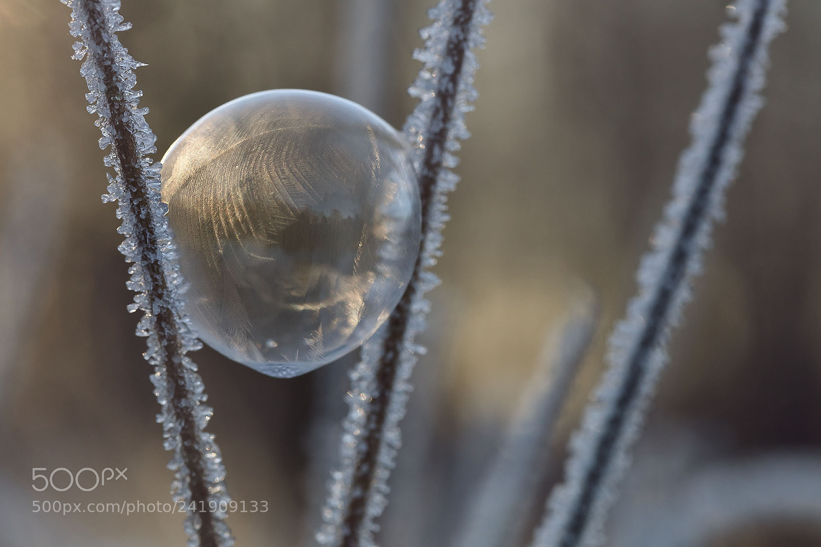 Canon EOS 5DS sample photo. Morning light photography