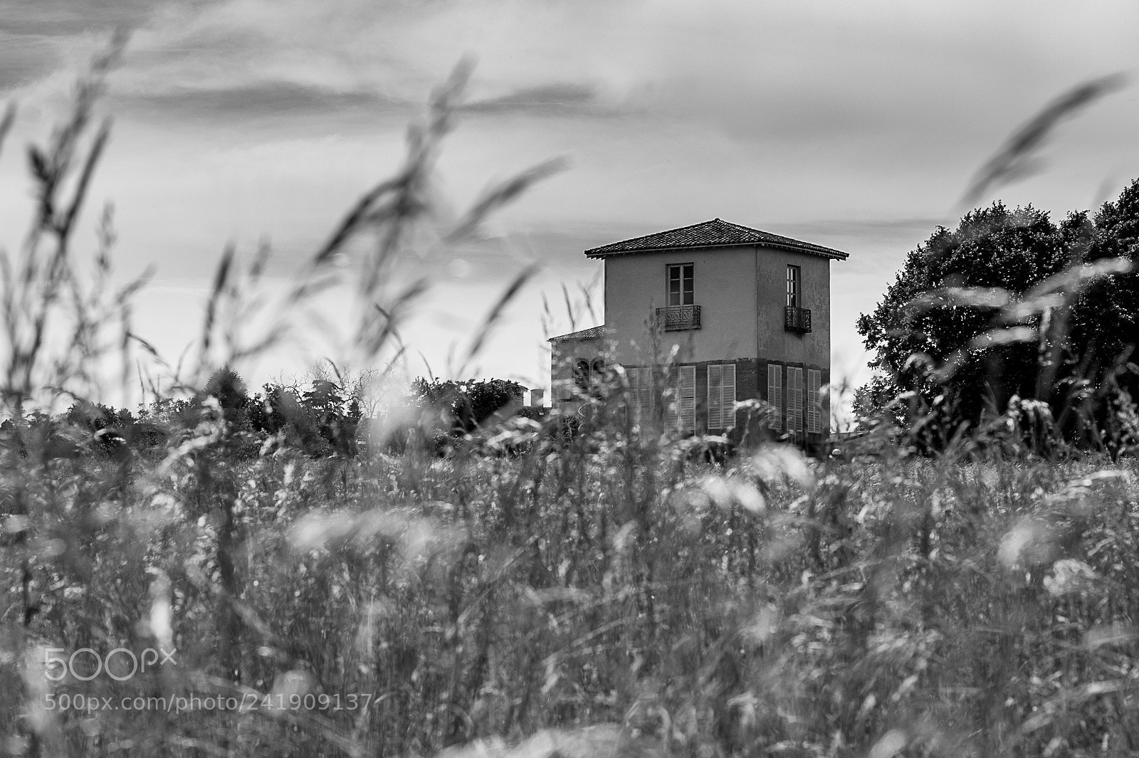 Nikon D700 sample photo. Abandoned place photography