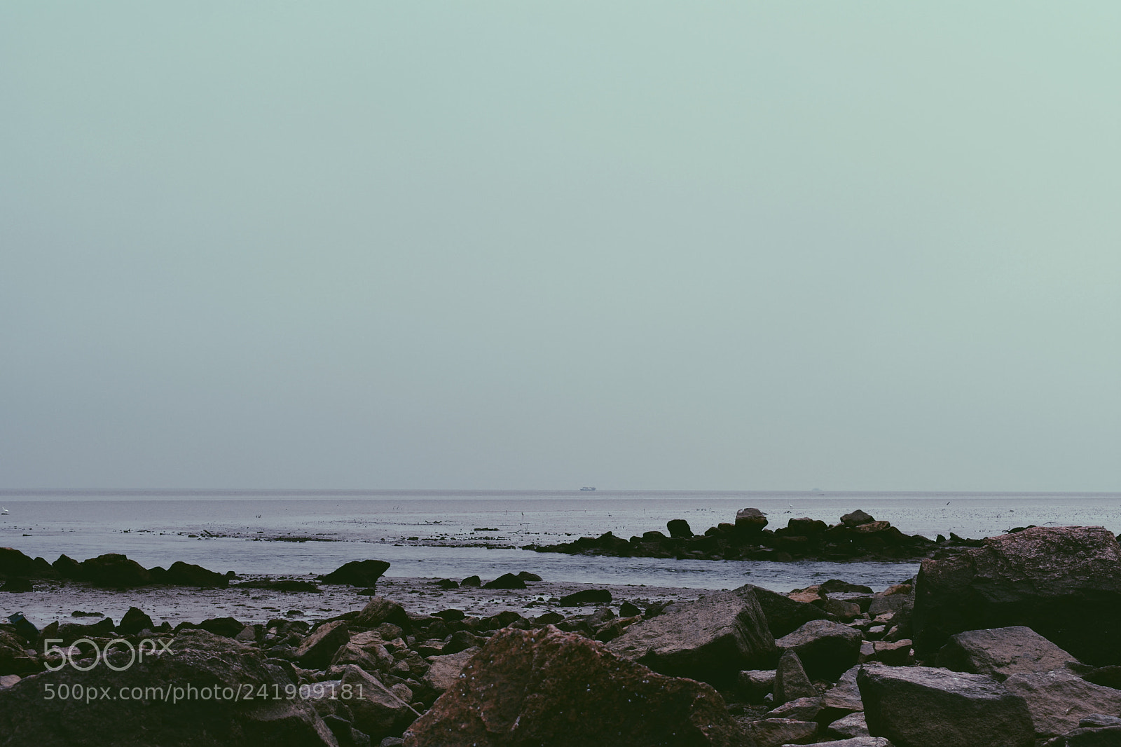 Nikon D3400 sample photo. Sea photography