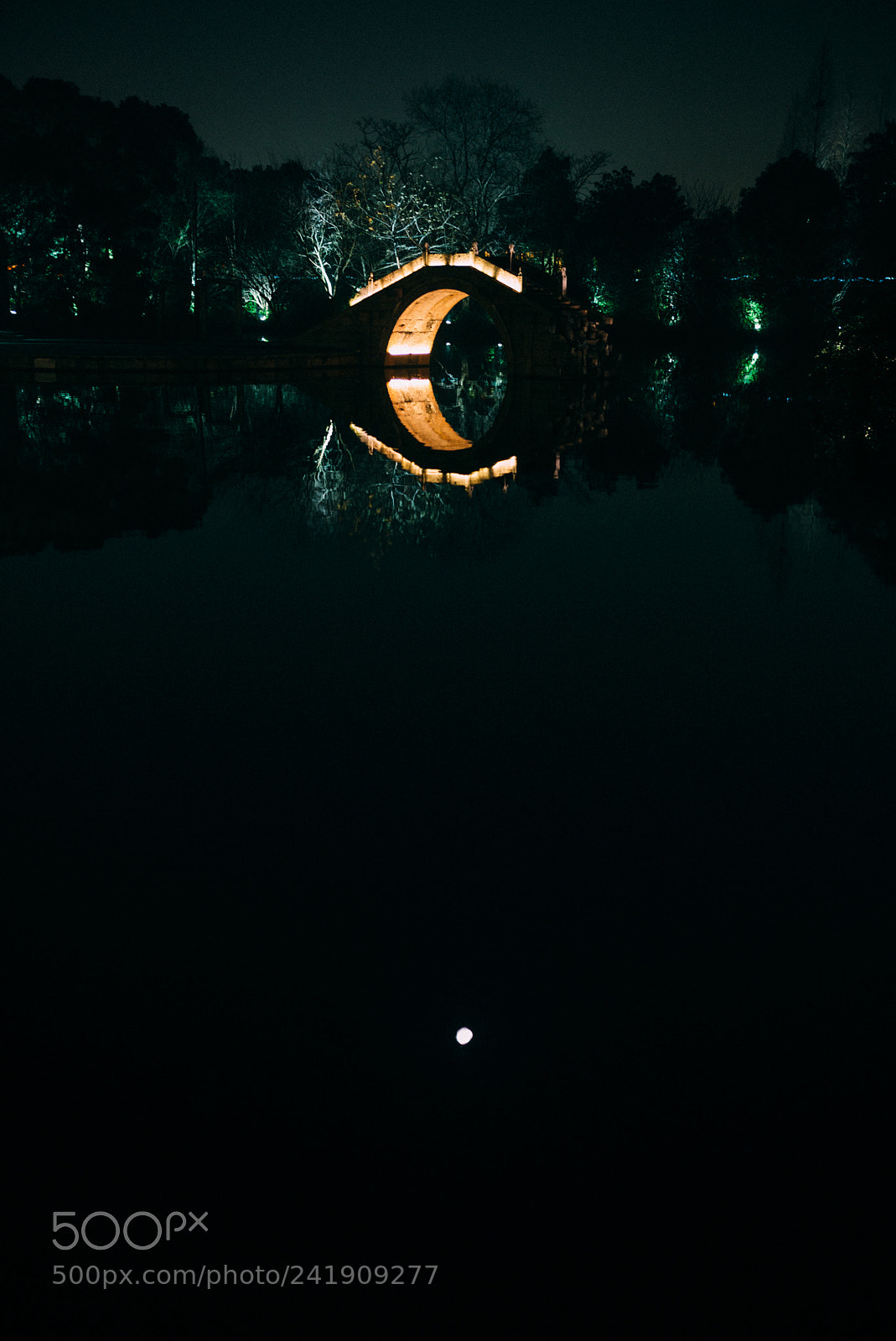 Leica M (Typ 240) sample photo. Moon in the river photography