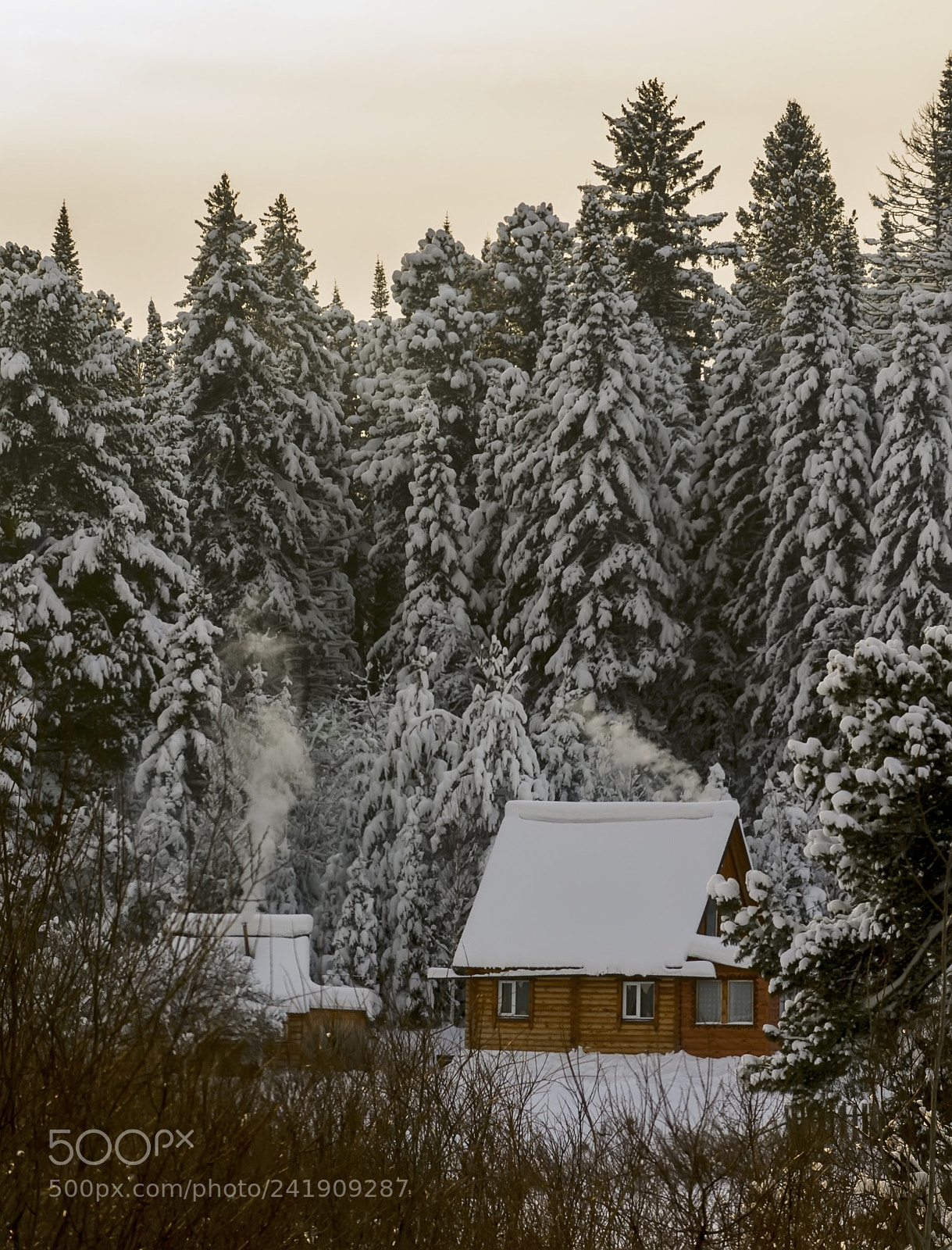 Sony Alpha DSLR-A580 sample photo. Snow photography