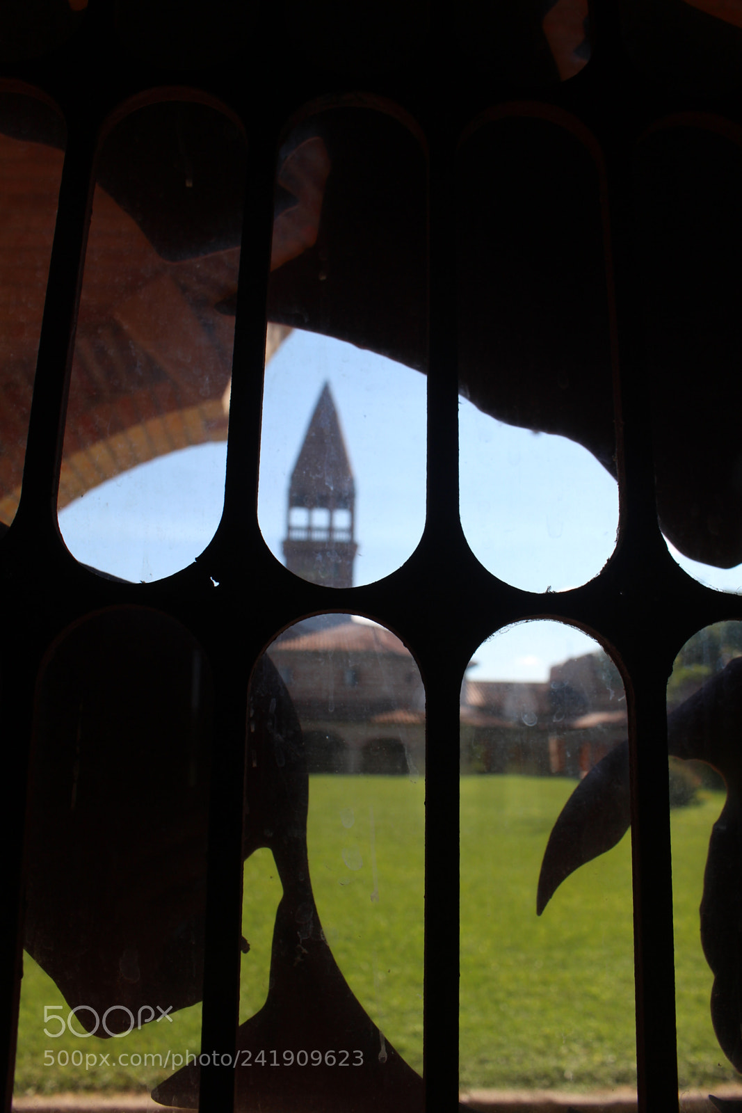 Canon EOS 700D (EOS Rebel T5i / EOS Kiss X7i) sample photo. Img photography