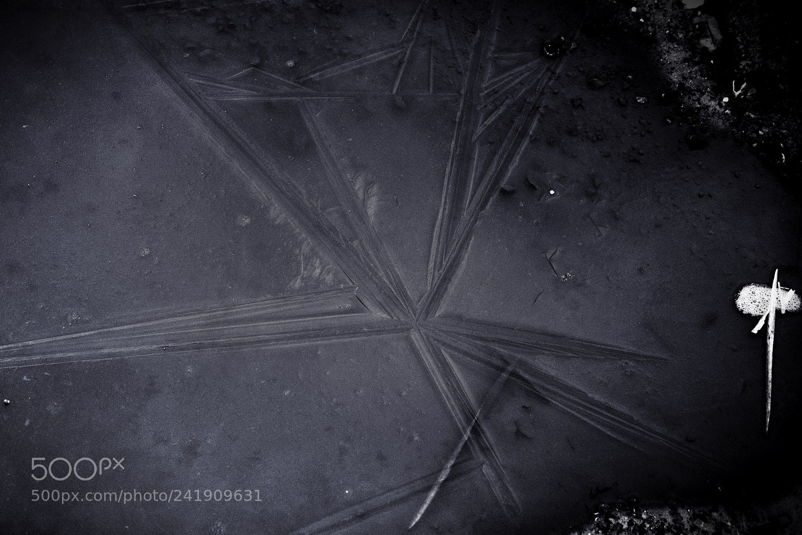 Fujifilm X-T1 sample photo. Icestar photography
