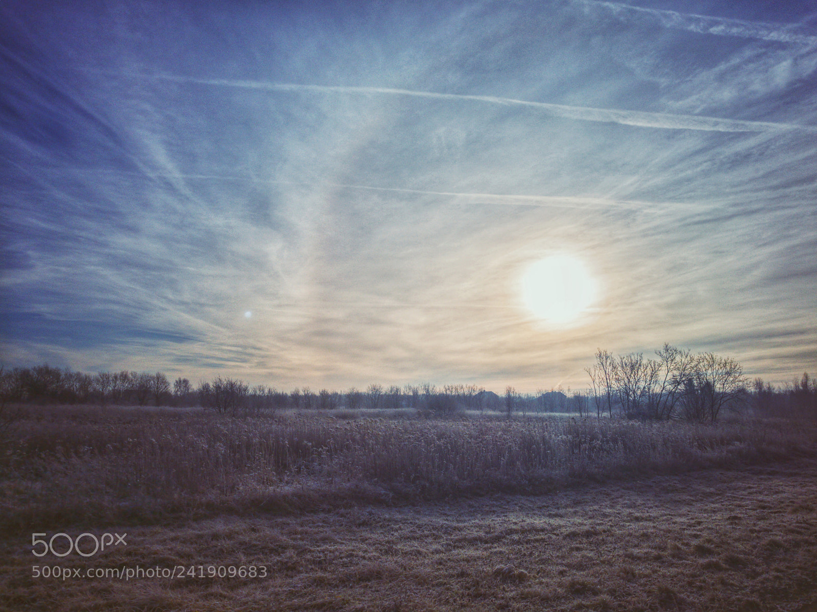 HUAWEI P9 sample photo. Frosty morning photography