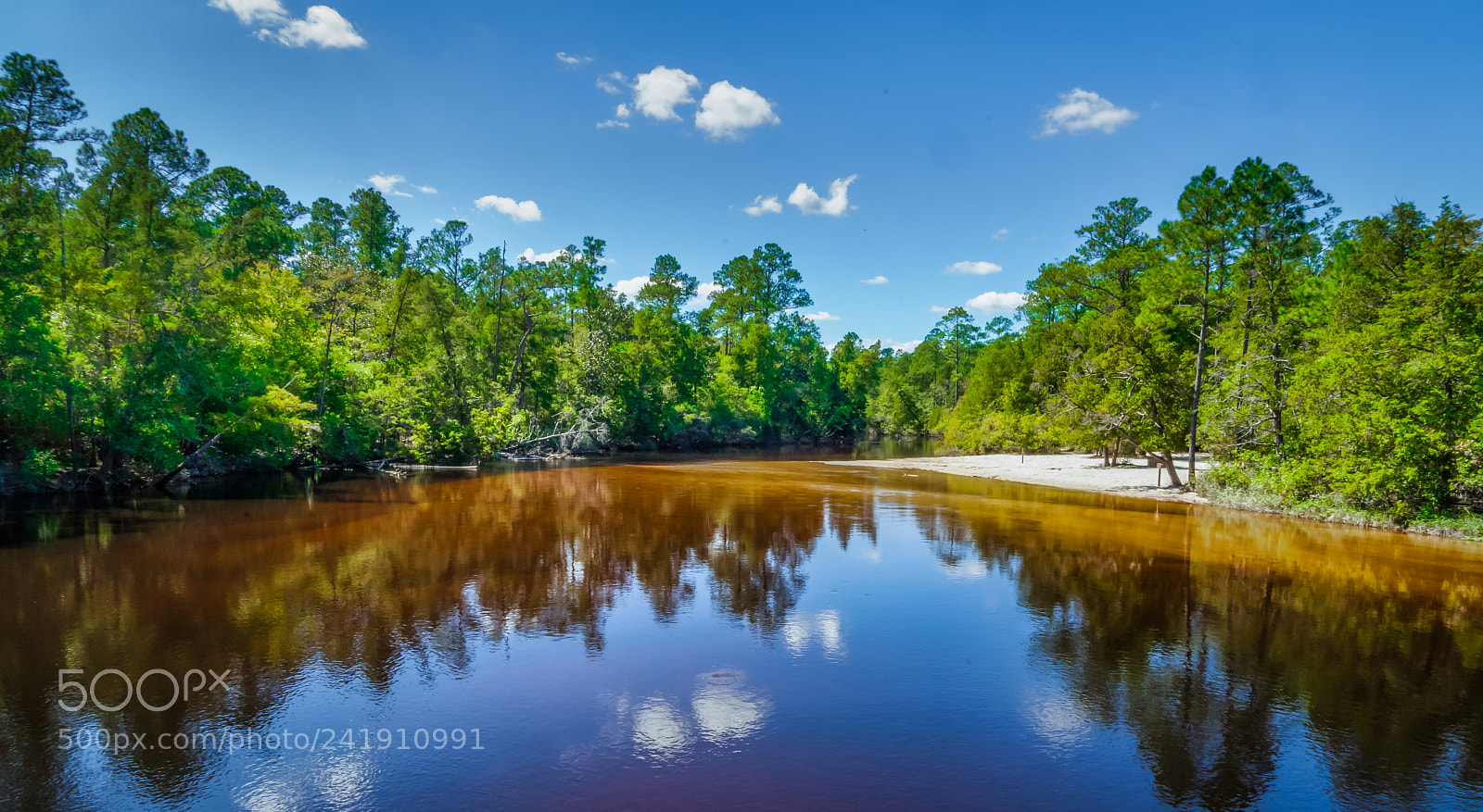 Sony a9 sample photo. Calm reflections photography