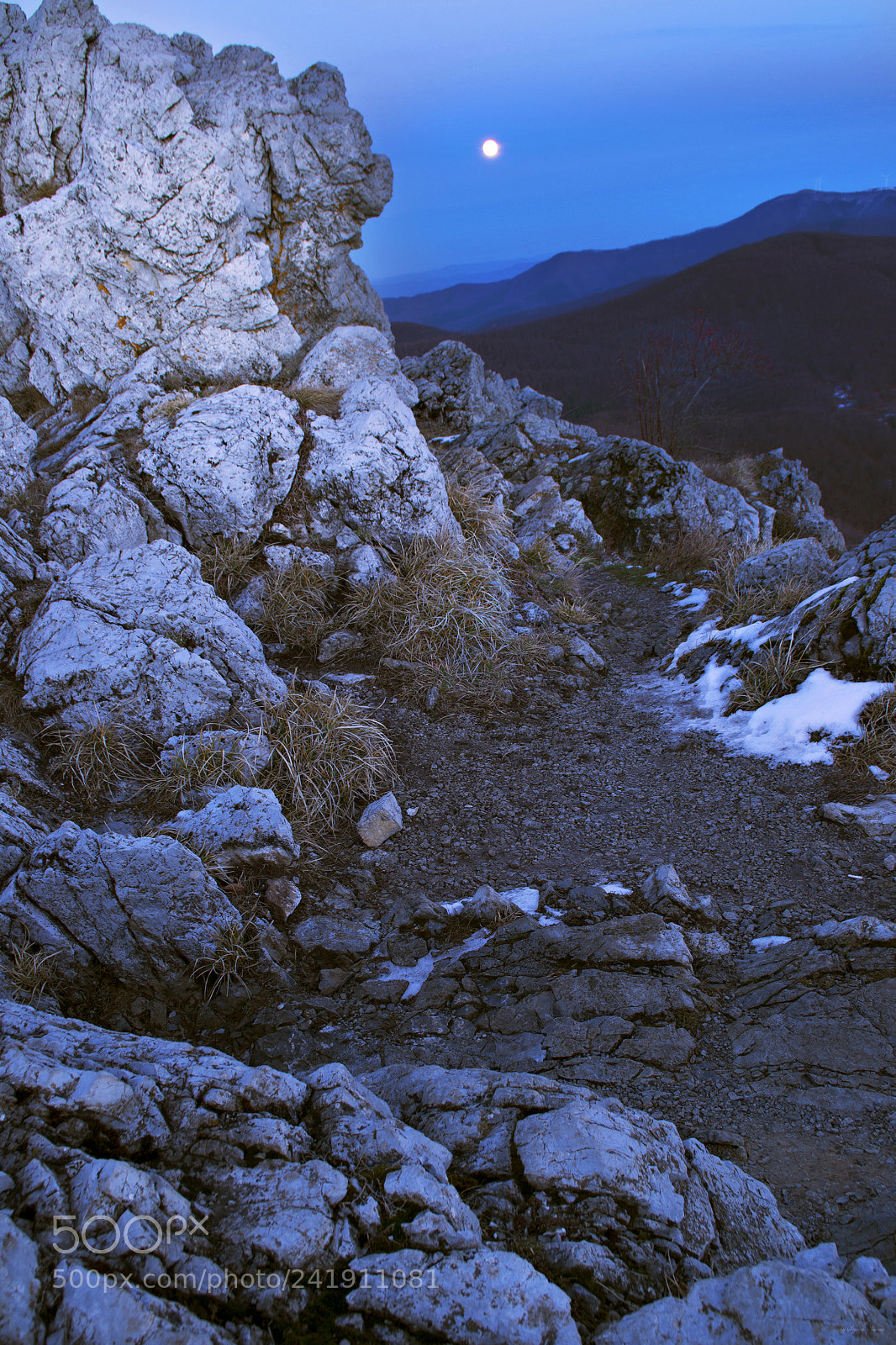 Nikon D3100 sample photo. Super moon photography