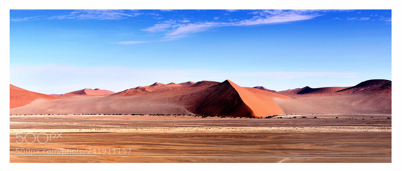 Canon EOS 50D sample photo. The namib dunes photography