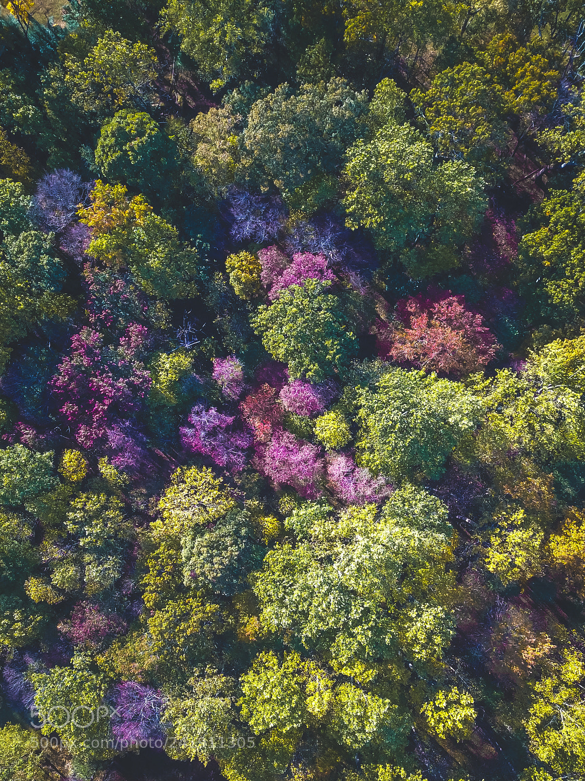 DJI FC220 sample photo. Purple and green photography