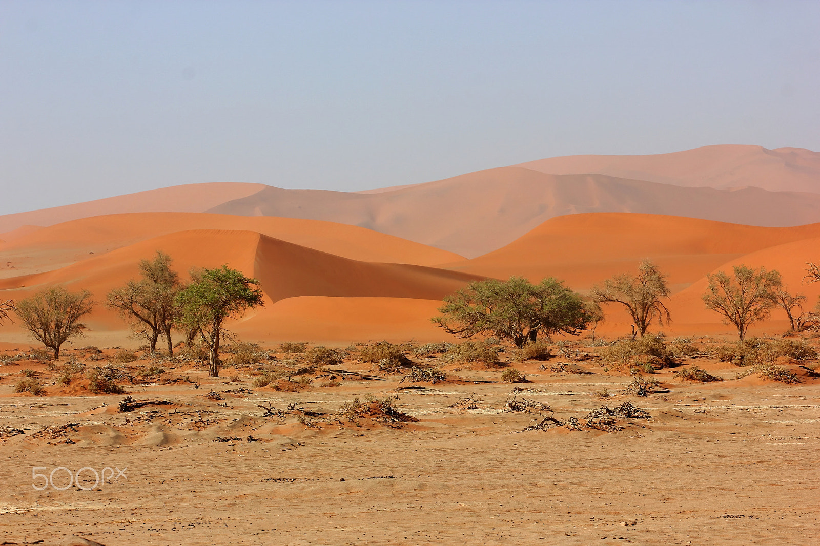 Canon EOS 550D (EOS Rebel T2i / EOS Kiss X4) + Canon EF 70-200mm F4L USM sample photo. Dunes in the background photography