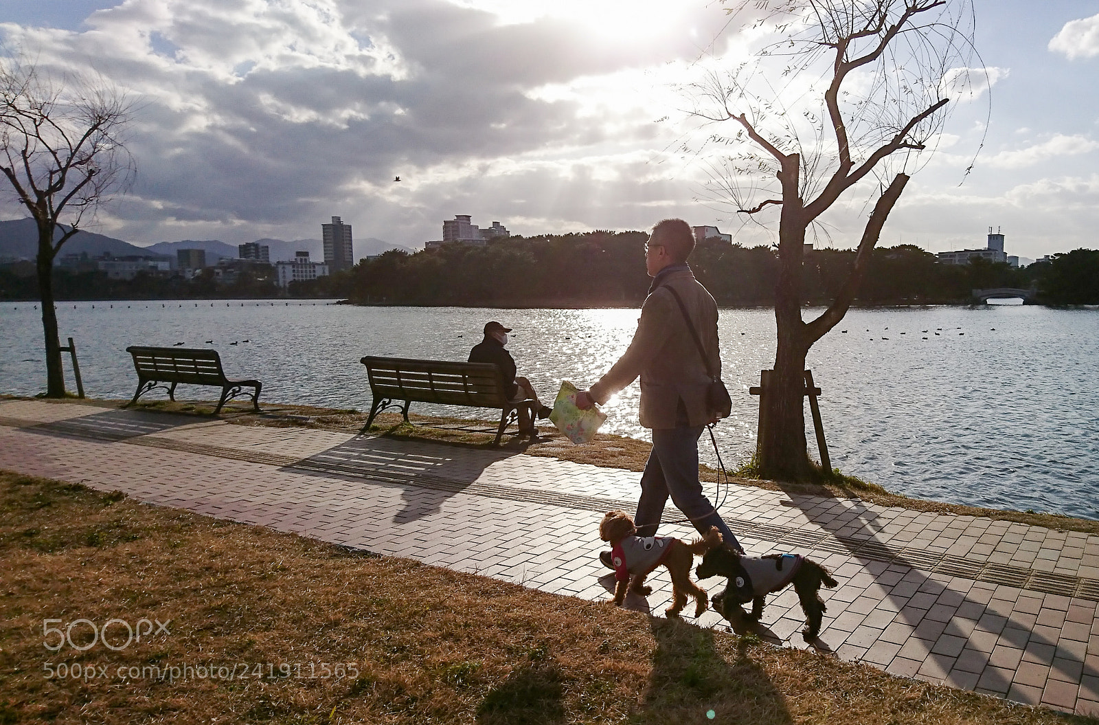 Sony Xperia XZ sample photo. 冬の散歩道 photography