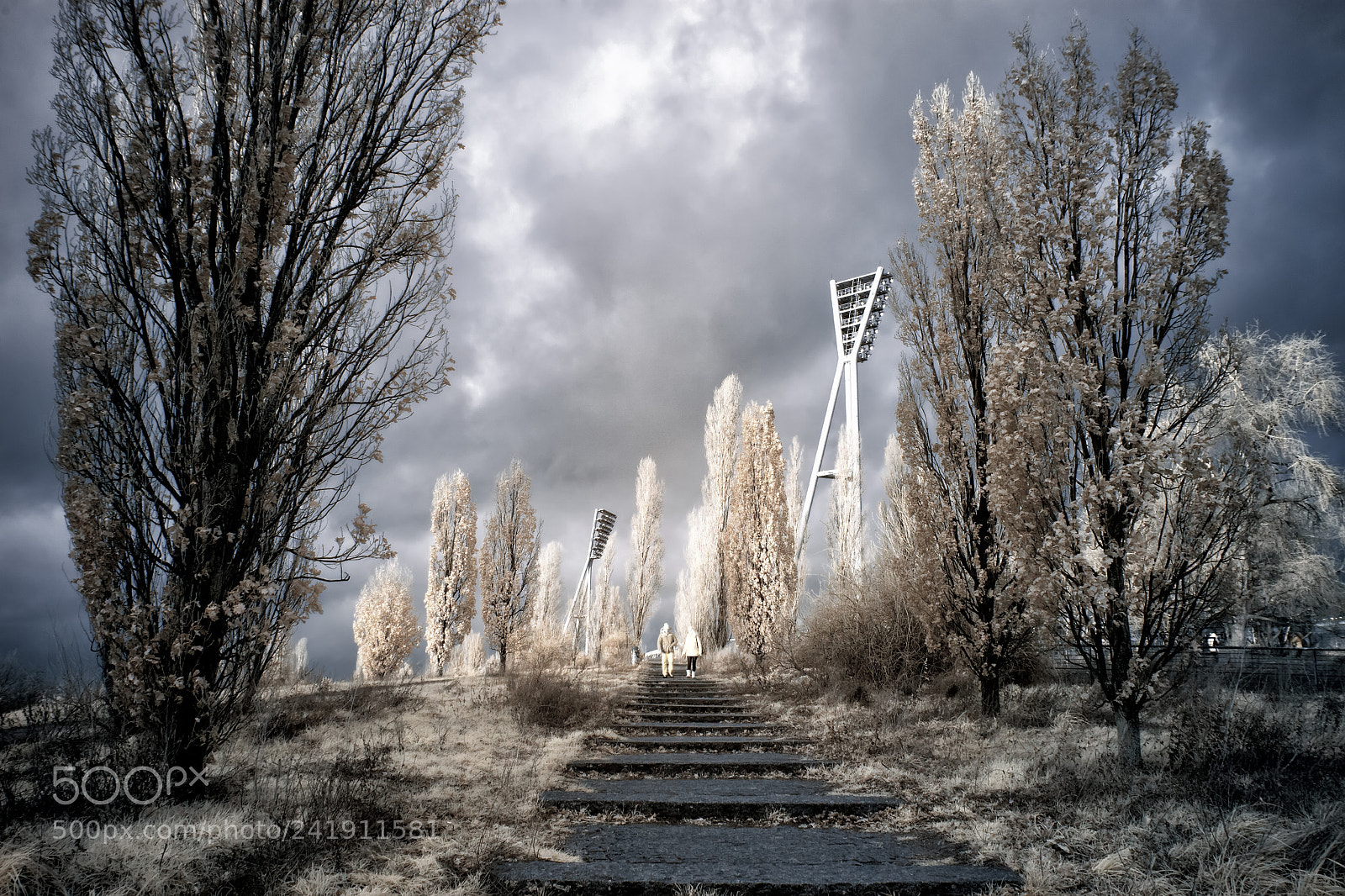 Canon EOS 50D sample photo. Winter in infra-red photography