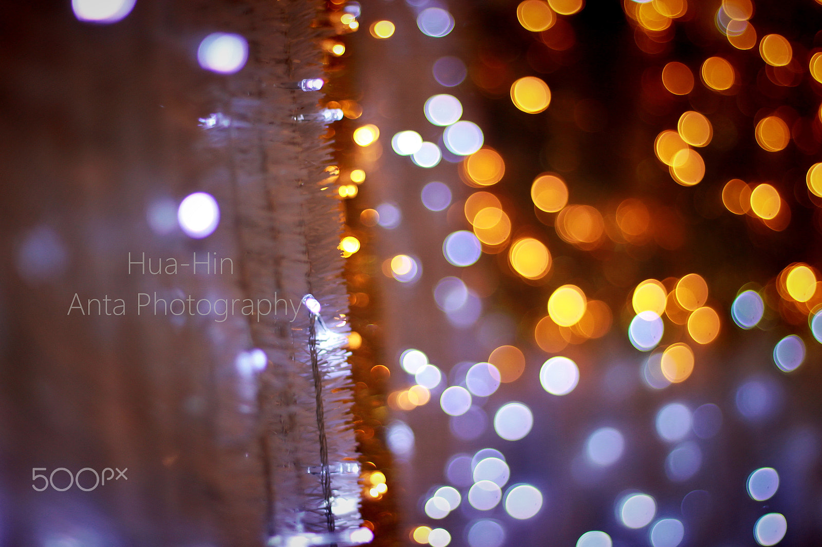 Canon EOS 500D (EOS Rebel T1i / EOS Kiss X3) + Canon EF 50mm F1.8 II sample photo. Bokeh the night photography