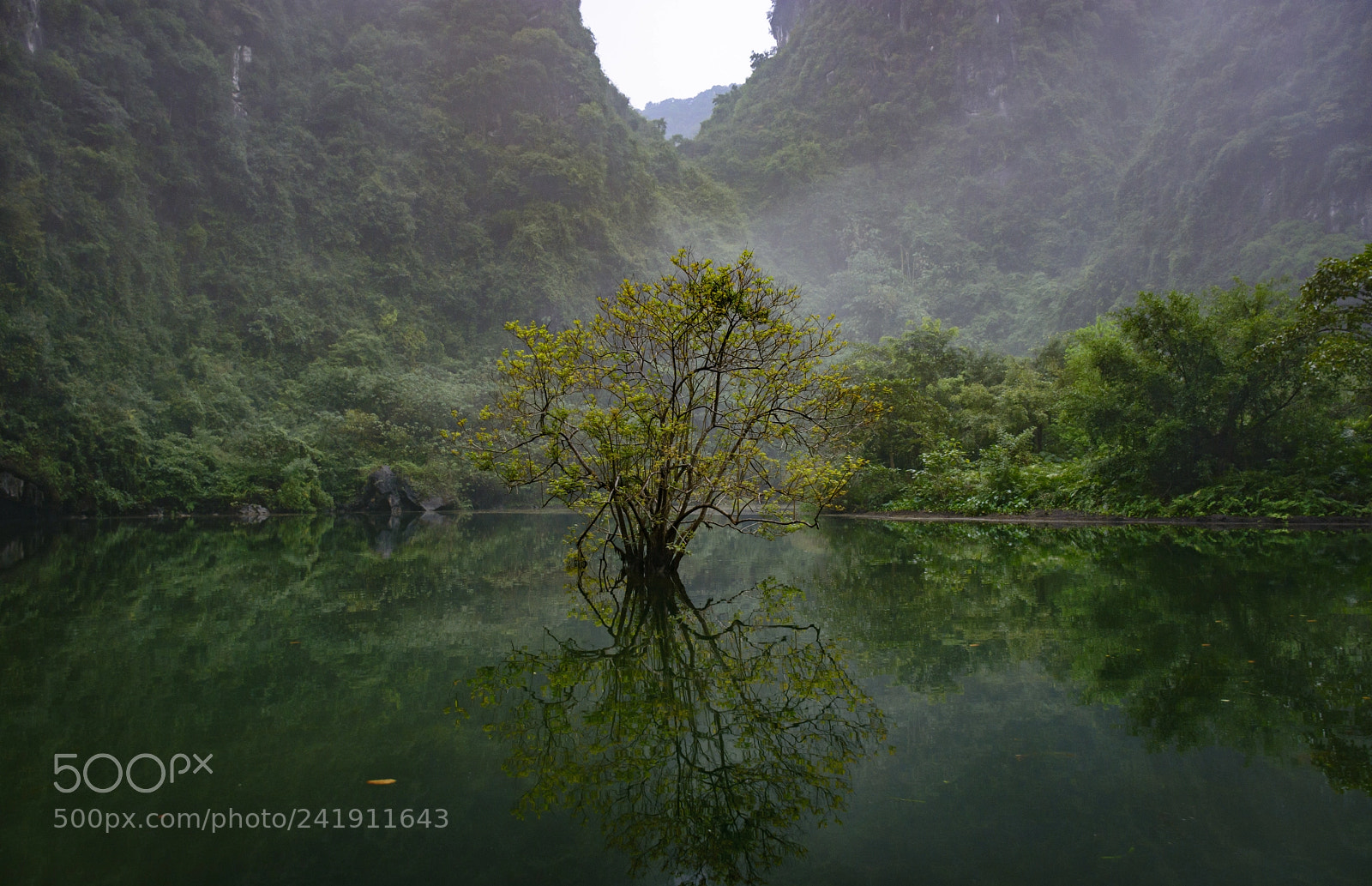 Nikon D7100 sample photo. Solitude photography