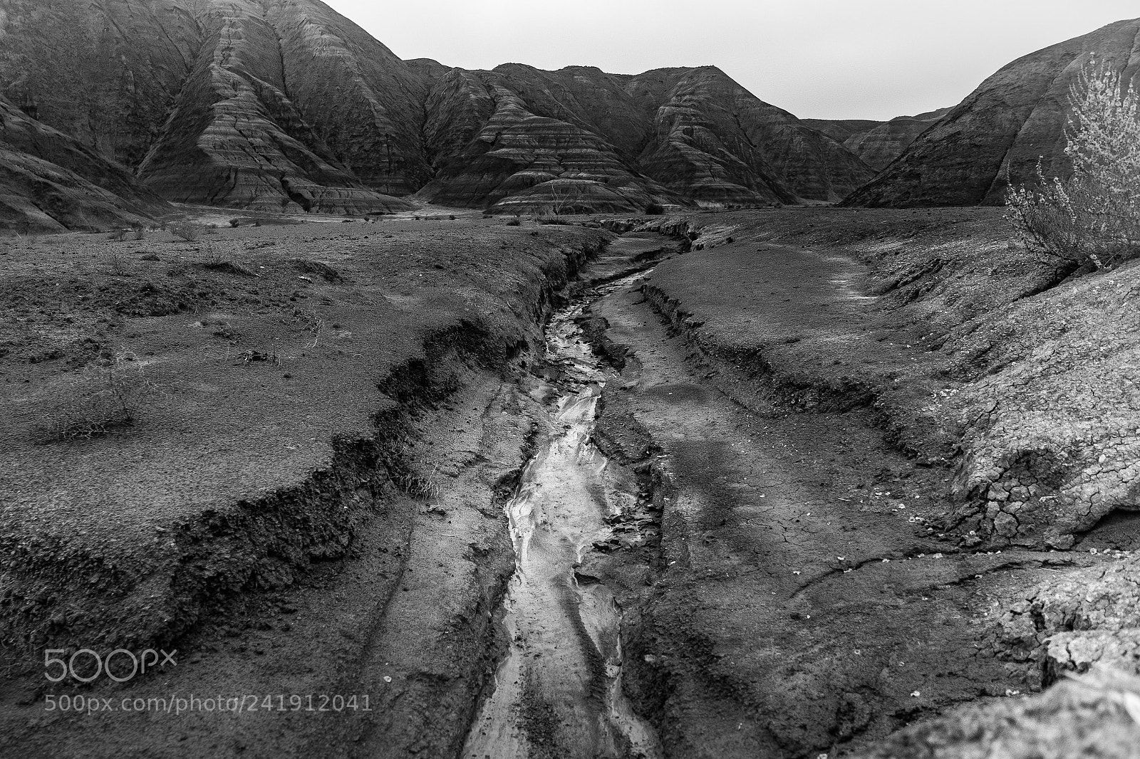 Fujifilm X-T2 sample photo. Path to mountains photography