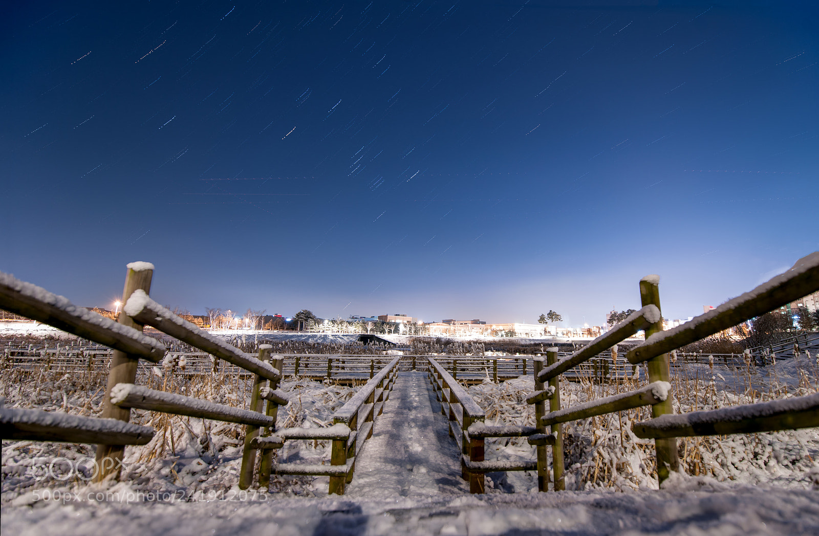 Nikon D3X sample photo. 暴雪之后 photography