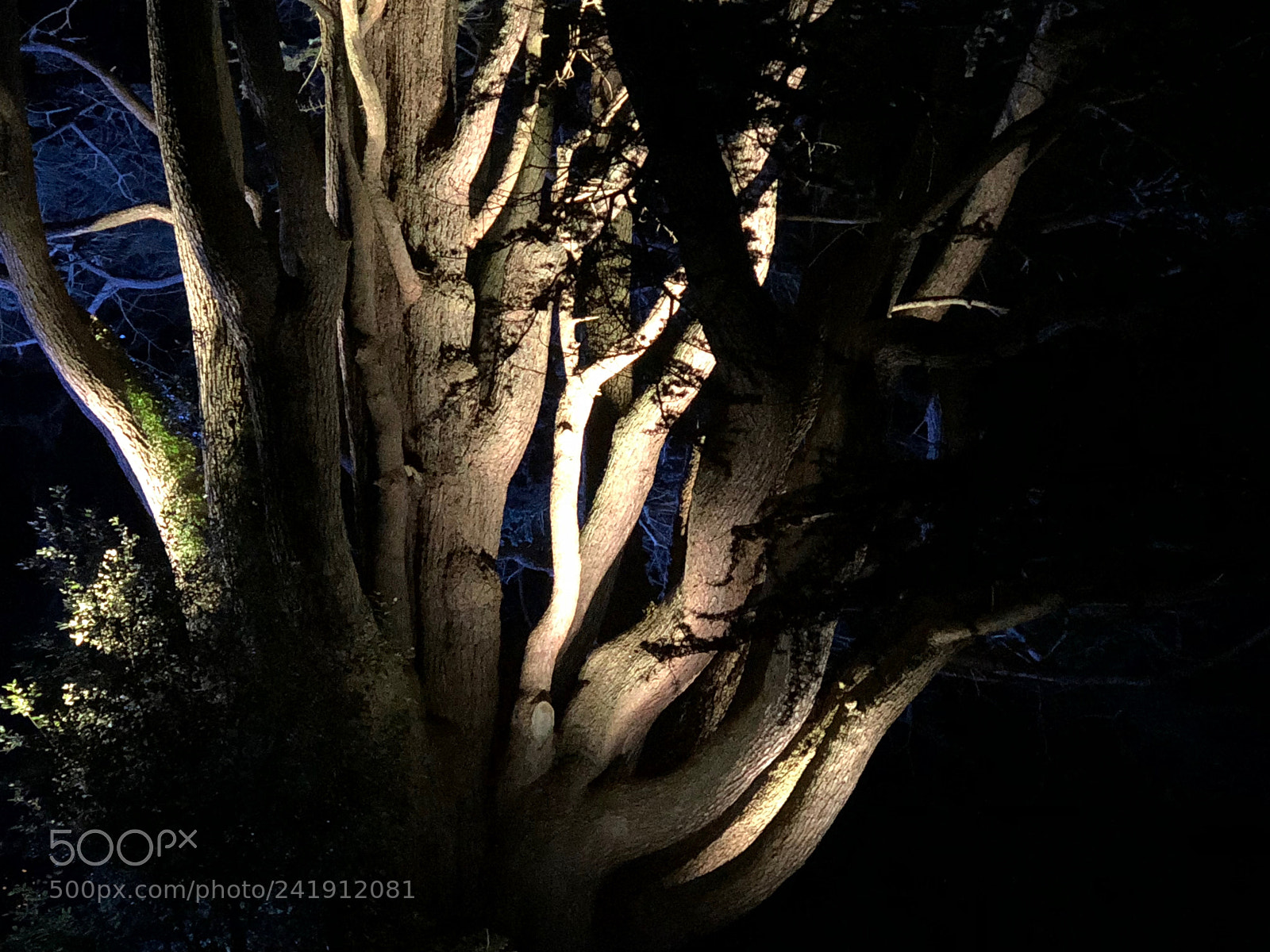 Apple iPhone X sample photo. Img photography