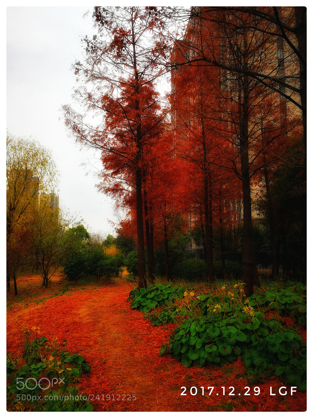 HUAWEI Mate 9 sample photo. Sdr photography