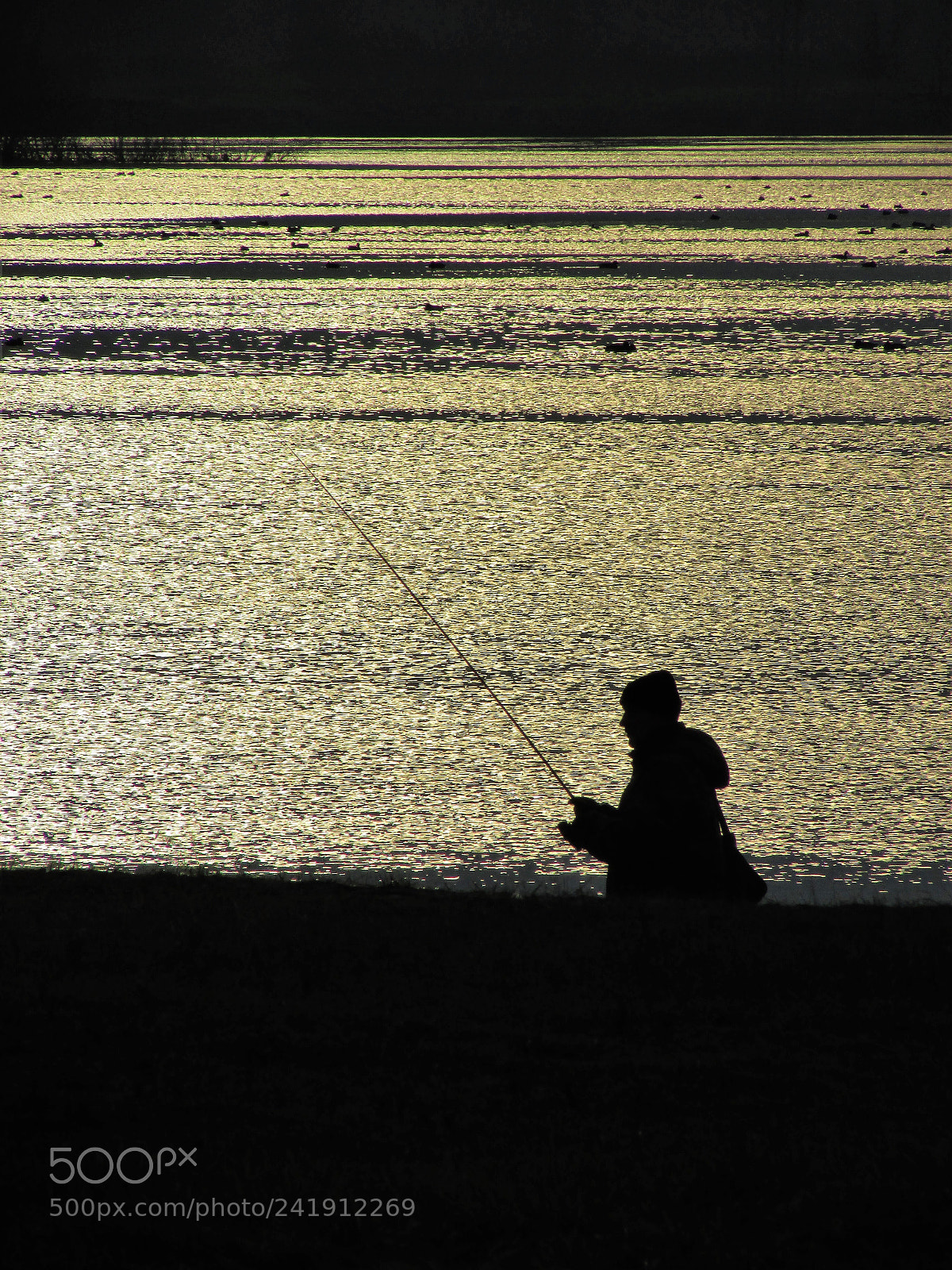 Canon PowerShot SX400 IS sample photo. Img photography