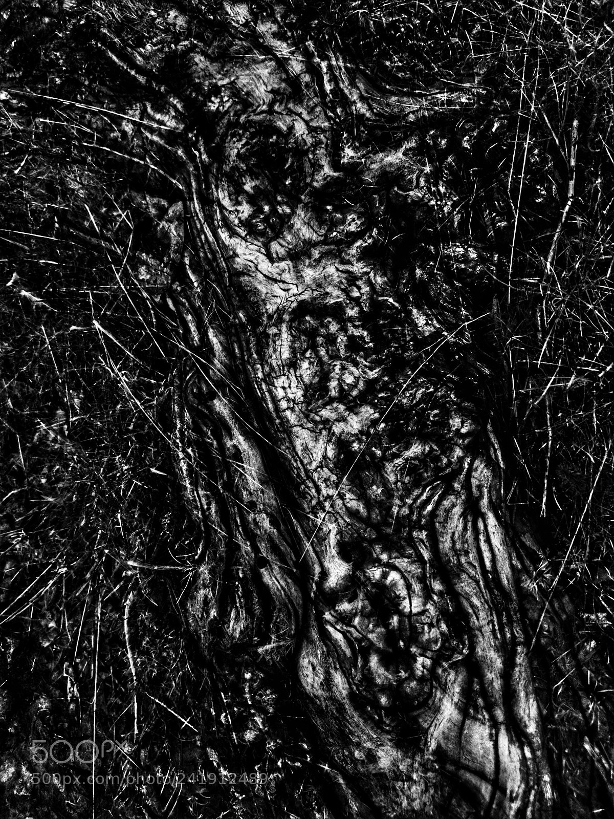 Samsung Galaxy S7 Edge sample photo. Decay photography