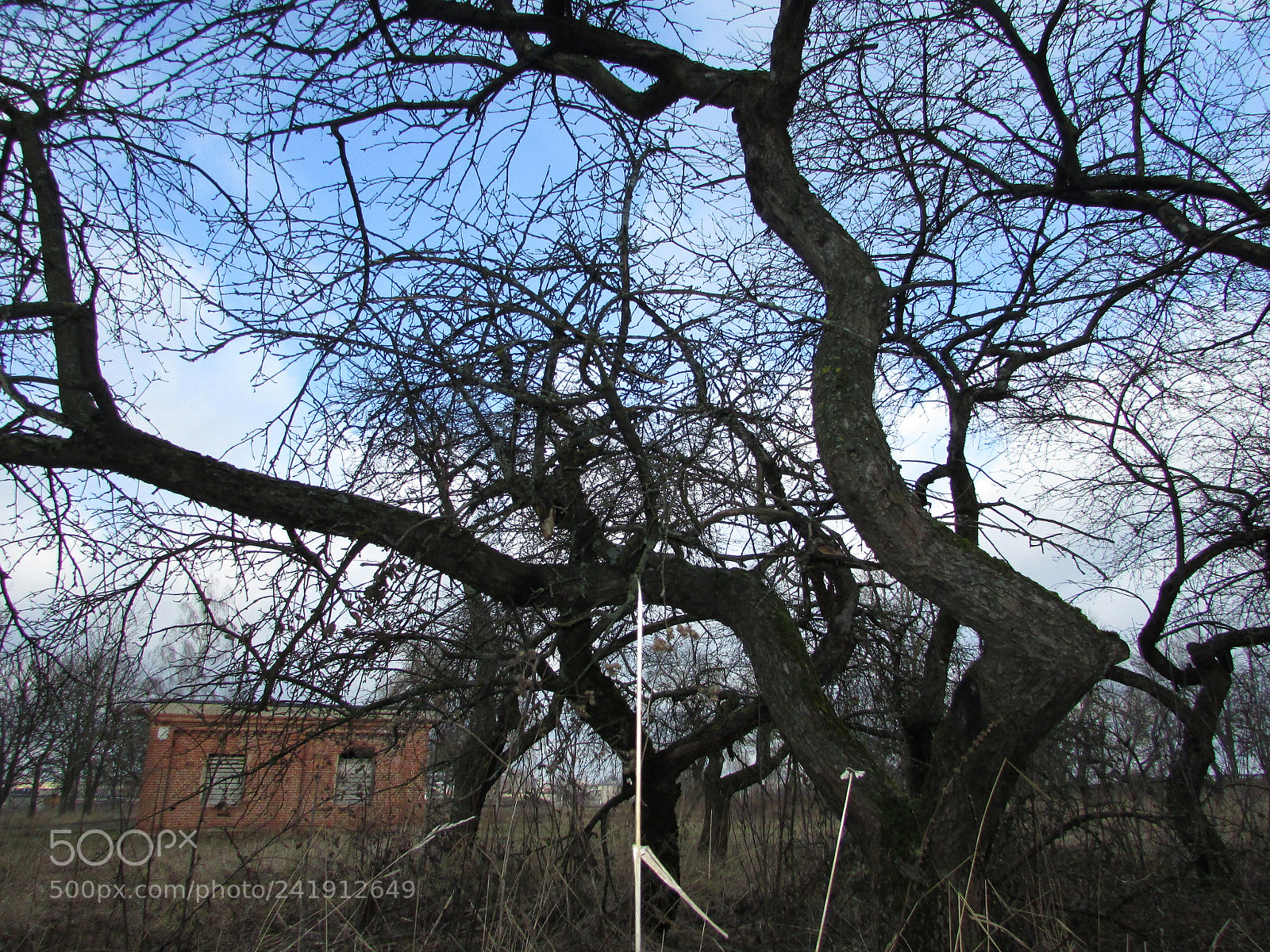 Canon PowerShot SX400 IS sample photo. Img photography