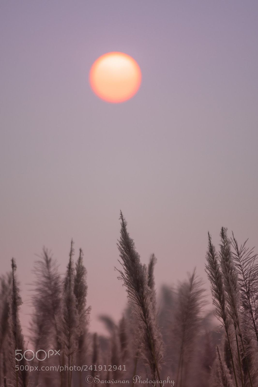 Nikon D500 sample photo. Rising sun photography
