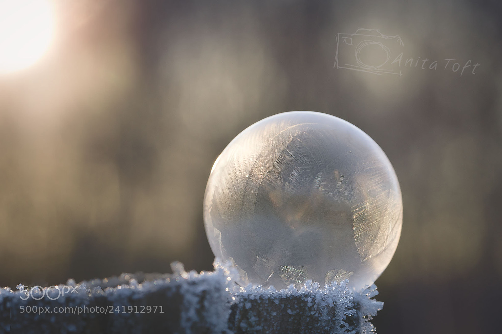 Canon EOS 5DS sample photo. Hazy winter bubble photography