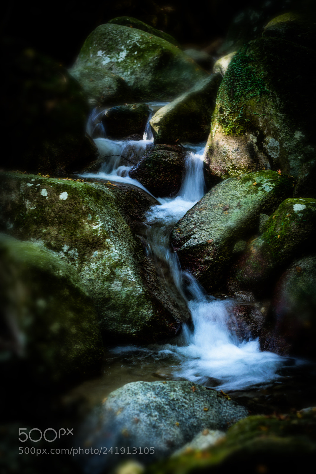 Nikon D810 sample photo. Flowing photography
