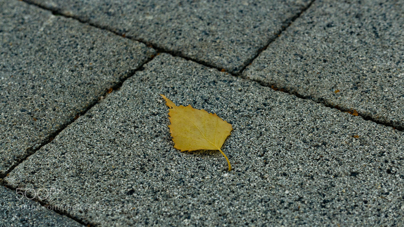 Panasonic Lumix DMC-LX100 sample photo. Loneliness photography