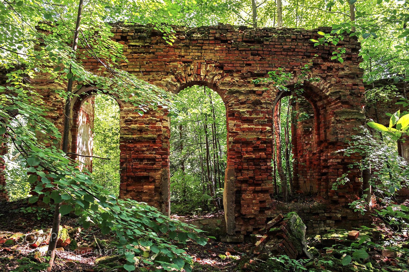 Canon EOS 60D sample photo. Arched passages in the photography