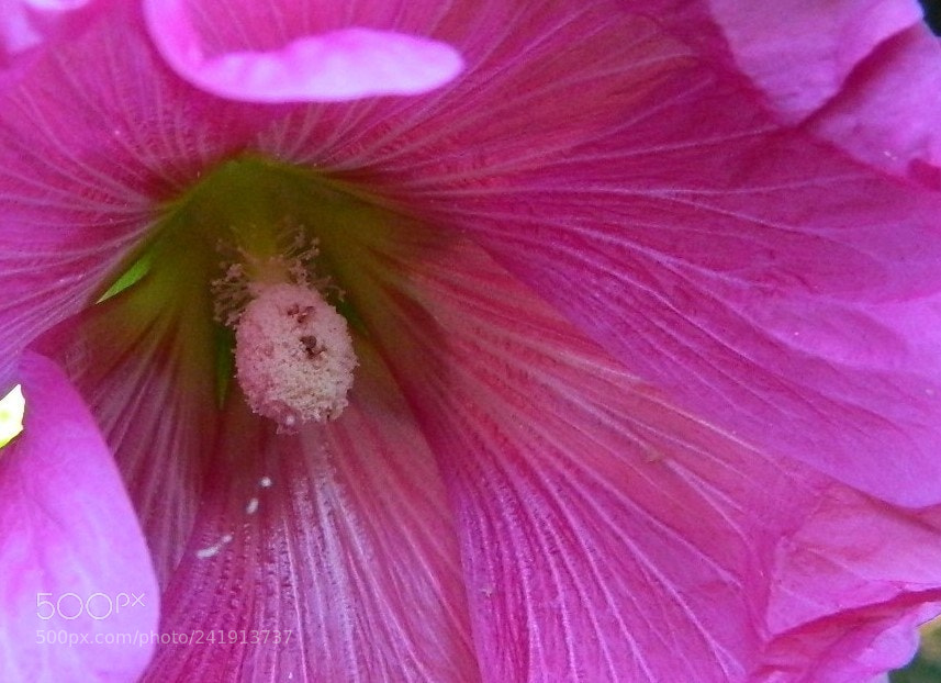 Nikon Coolpix L120 sample photo. () photography